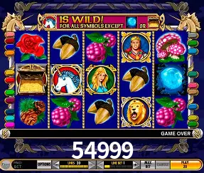 Exclusive Offers 54999